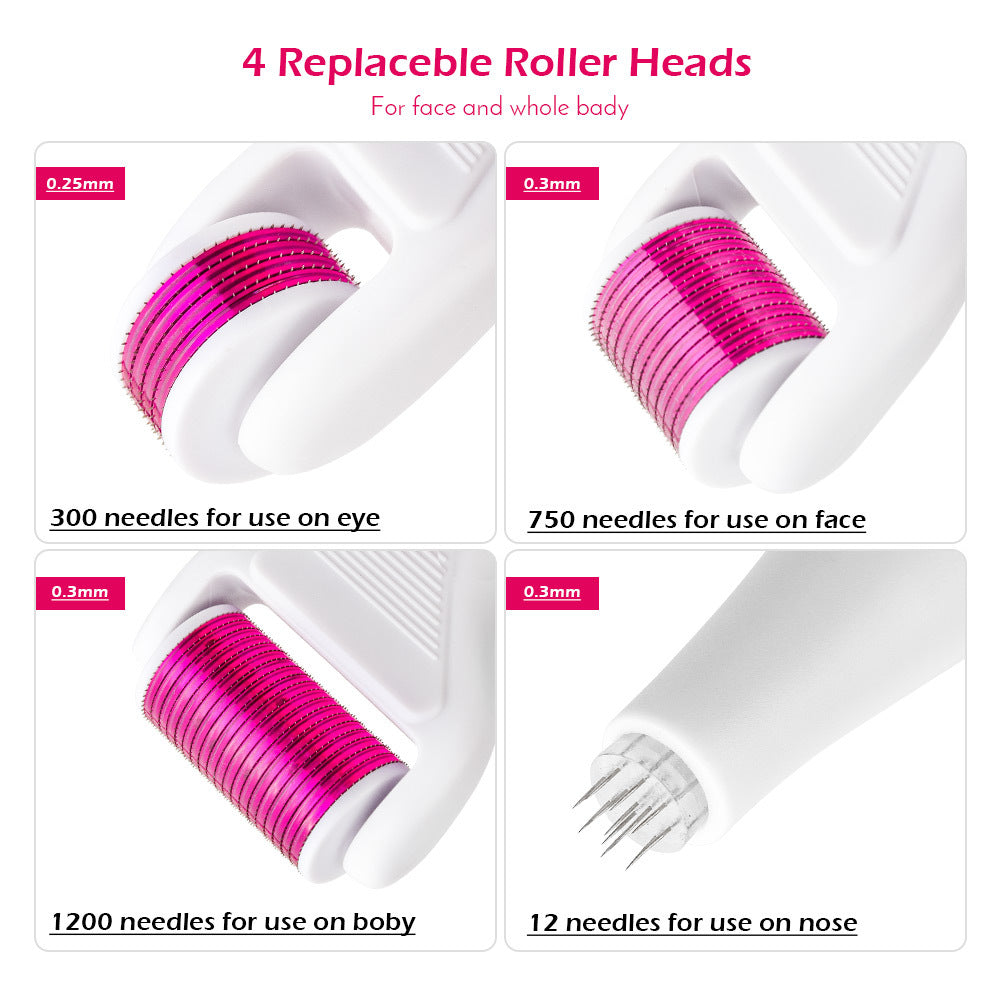 Roller Micro Needle Five In One Micro Needle Roller